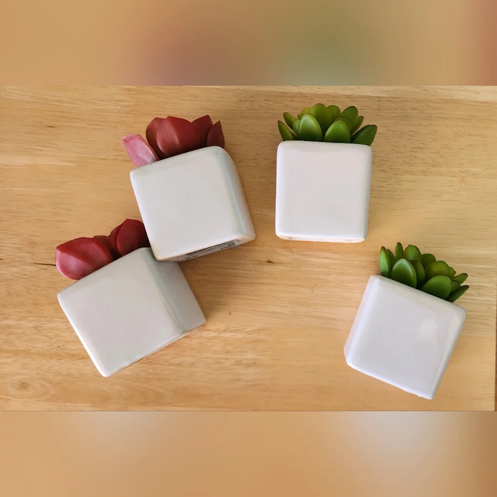 Set of 4 Succulent Artifical Planters in White Ceramic Pots